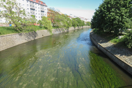 urban river perspective with algae in water