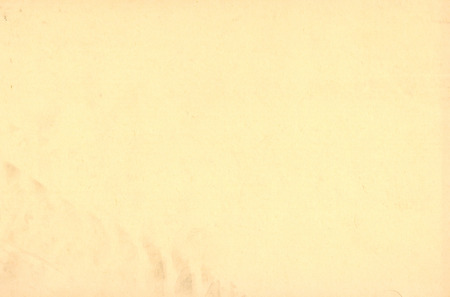 off white paper surface useful as a backgroundの写真素材