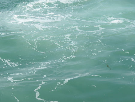 fresh water surface (Venice laguna water) useful as a background