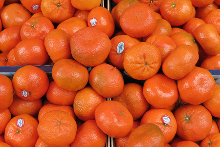 LEIPZIG, GERMANY - CIRCA MARCH 2016: Oranges displayed on a market counterのeditorial素材