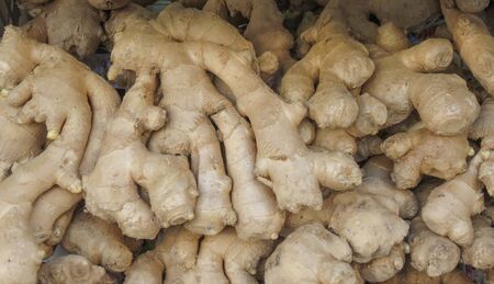 ginger root (Zingiber officinale) vegetables vegetarian and vegan foodの写真素材