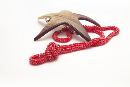 starfish and coralの写真素材