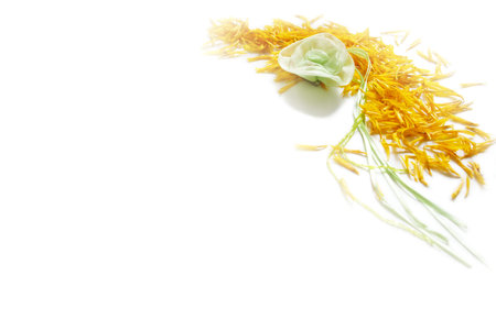 sunflowers and green rose - frameの写真素材