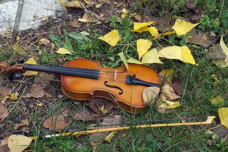 Violin in the grassの写真素材