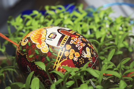 Easter Egg in fresh spring green sproutsの写真素材