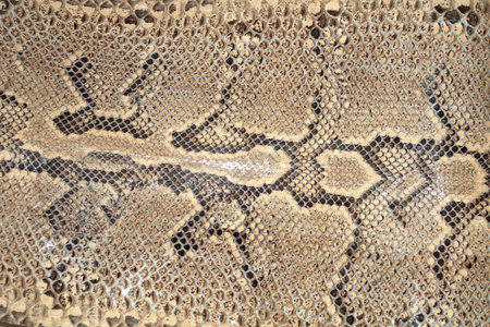 snake skin texture