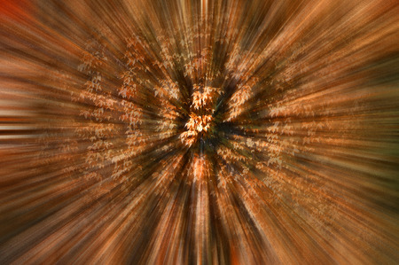 a texture of red climber with leaves,  during fallの写真素材