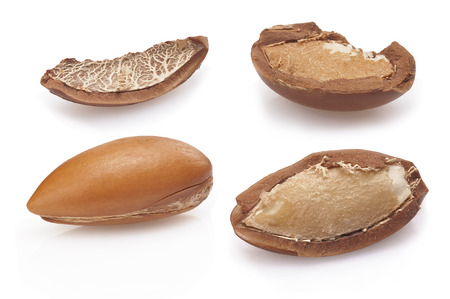 seeds of argan on white,a close up isolated on whiteの写真素材