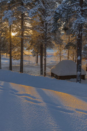 during winter in Lapland, Sweden, Norrbottenの写真素材