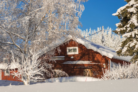 during winter in Lapland, Sweden, with snow and iceの写真素材