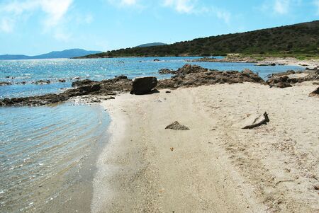 wild beachの写真素材