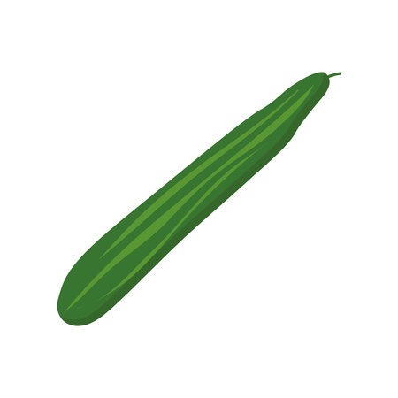 Colorful cucumber clipart cartoon. Cucumber vector illustration.のイラスト素材
