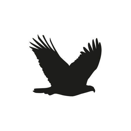 Eagle silhouette in black. Flying Eagle chrysaetos silhouette isolated. Eagle black design.のイラスト素材
