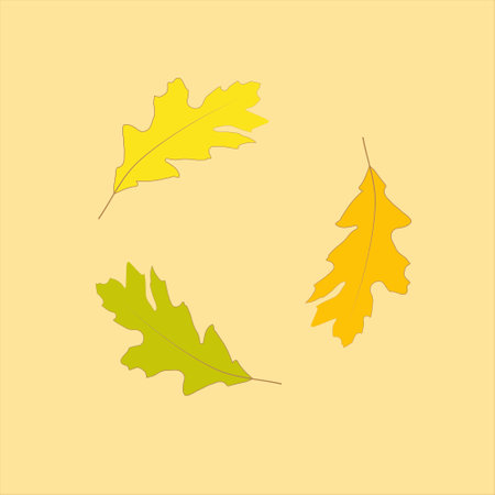 Beautiful bright colorful autumn leaves falling in the air isolatedのイラスト素材