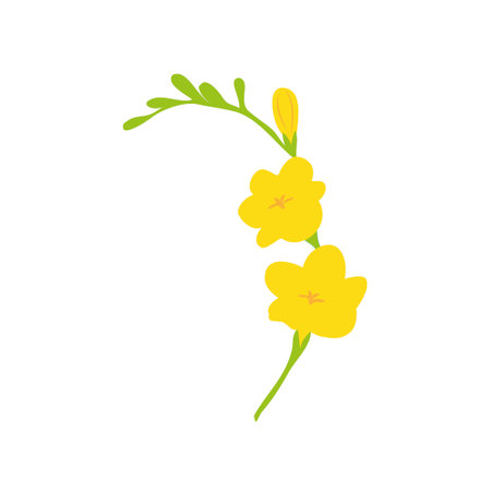 Freesia flower. Blooming floral plant. Spring field wildflower. Blossomed meadow buds, leaves. Delicate fragile gentle summer stem.のイラスト素材