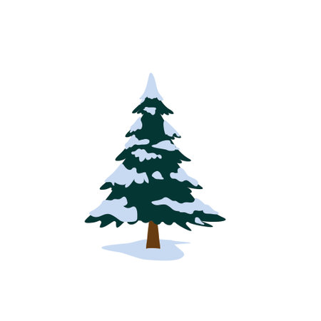 Pine tree in winter snowy season. Christmas tree with snow on branches isolated on white background. Spruce or green coniferous tree in cartoon style.のイラスト素材