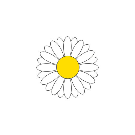 Beautiful chamomile icon on the white background. Vector illustrationのイラスト素材