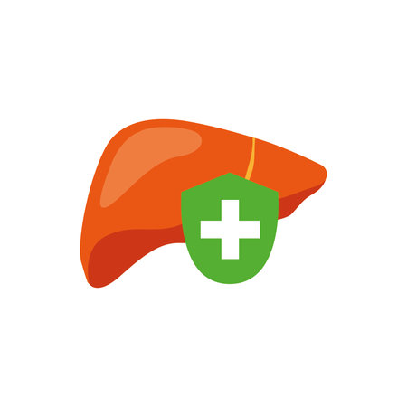 Liver icon in flat color style. Health care medical clinic symbolのイラスト素材