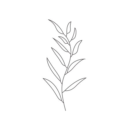 beautiful leaf plant iconのイラスト素材