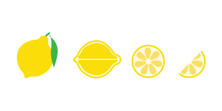 Lemon Citrus Vector Illustration, Isolated Fruit Set Collectionのイラスト素材