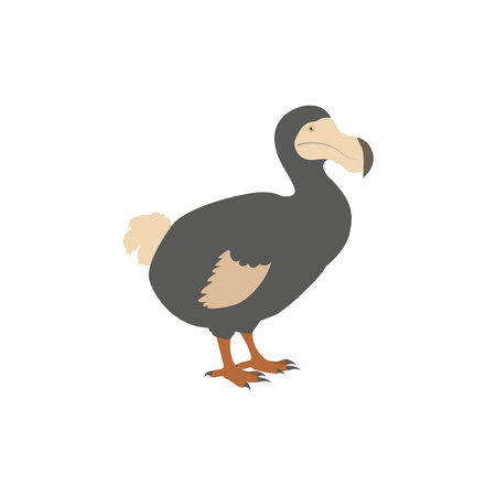 Illustration of a Dodo Birdのイラスト素材
