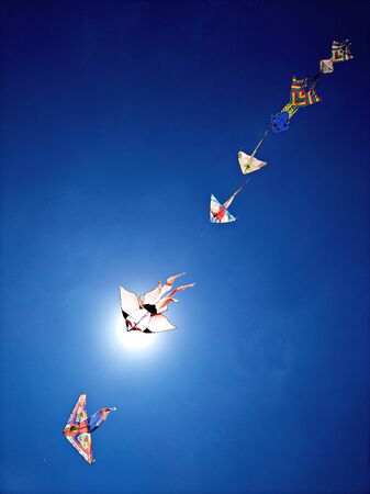 kites in the blue skyの写真素材