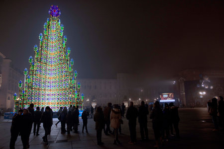Christmas tree in the city with LED in the central square