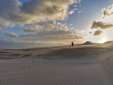 Woman walking with dog through the dunes at sunsetの写真素材