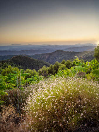 Take at dusk of the vegetation and reliefs in the natural park of the mountains of Malaga.の写真素材