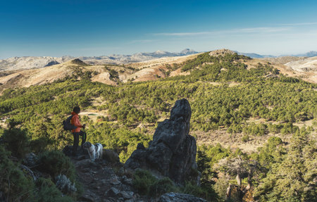 Woman with her dog on a path with green grass looking at beautiful forest in mountain valley....