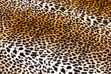 background leopard skinの写真素材