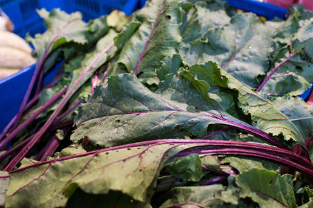 Turnip leaves in a local market cassette. Green leaves with fuchsia coast, healthy fresh vegetables