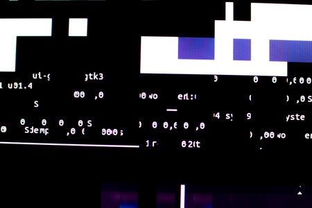 Operating system stalled after a memory overload. Presence of purple and white glitches on monitor...