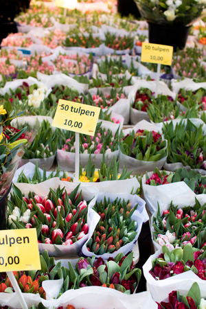 Tulips in a Dutch market with exposed prices and with different quality varieties and colors. Tulips flower symbol sold in bunches in amsterdamの写真素材