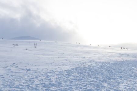 Polar landscape with snow and wind in the mountains. Hiking and snow hiking in the mountains with footprints on the ice and snow. Adventure and excursions in the cold in winterの写真素材