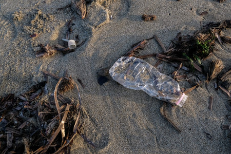 Plastic bottle on wild sea coast over blurred waves background,planet save