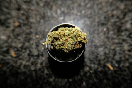 Marijuana bud on cannabis grinder item, drugs addiction conceptの写真素材
