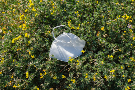 Disposable protective face mask discarded on marine plants habitat,medical  pandemic sea pollution