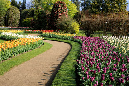 Verbania (VCO), Italy - April 01, 2017: Tulips in " Villa Taranto " botanical gardens, Verbania, Piedmont, Italyのeditorial素材
