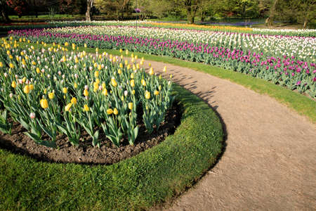 Verbania (VCO), Italy - April 01, 2017: Tulips in " Villa Taranto " botanical gardens, Verbania, Piedmont, Italyのeditorial素材