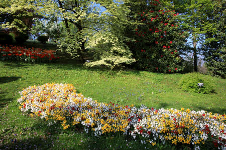 Verbania (VCO), Italy - April 01, 2017: Villa Taranto botanical gardens, Verbania, Piedmont, Italyのeditorial素材
