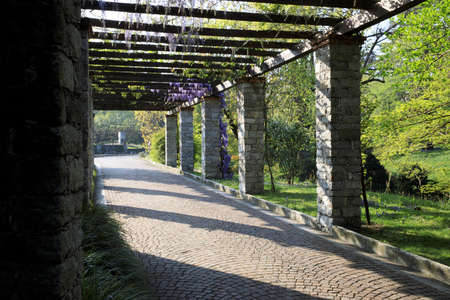 Verbania (VCO), Italy - April 01, 2017: Villa Taranto botanical gardens, Verbania, Piedmont, Italyのeditorial素材