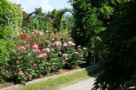 Stresa (VCO), Italy - June 02, 2018: Villa Pallavicino garden, Stresa, Verbano-Cusio-Ossola, Piedmont, Italyのeditorial素材