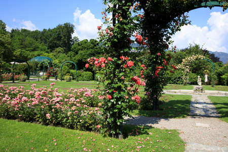 Stresa (VCO), Italy - June 02, 2018: Villa Pallavicino garden, Stresa, Verbano-Cusio-Ossola, Piedmont, Italyのeditorial素材