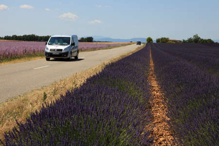 Valensole, Provence / France - May 23, 2016: A road near a Lavender field in Valensole, France, Provence-Alpes-Cote d'Azur, Alpes-de-Haute-Provence, Valensoleのeditorial素材