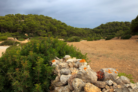 Binigaus beach, Sant Tomas, Menorca, Balearic Islands, Spain