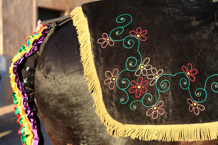 Sant Climent, Menorca / Spain - June 23, 2016: Horse decoration at Â´JaleoÂ´ traditional...