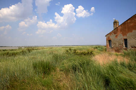 Po river (FE),  Italy - April 30, 2017: Typical rural scenery near Po river, Delta Regional Park, Emilia Romagna, Italyのeditorial素材