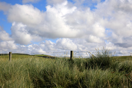 Orkney (Scotland), UK - August 10, 2018: A typical landscape in the Orkney islands, Orkney,...