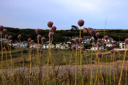 Bude (England), UK - August 08, 2015: Bude village, Cornwall, United Kingdom.のeditorial素材